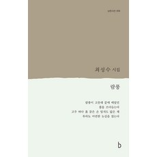 [비(도서출판b)]람풍 - b판시선 59, 비(도서출판b), 최성수