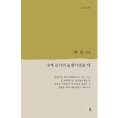[비(도서출판b)]내가 길가의 돌멩이였을 때 - b판시선 61, 비(도서출판b), 허완