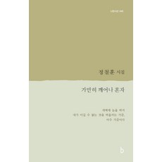 [비(도서출판b)]가만히 깨어나 혼자 - b판시선 45, 비(도서출판b), 정철훈