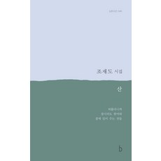 [비(도서출판b)]산 - b판시선 46, 비(도서출판b), 조재도