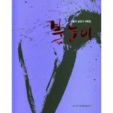 [梨花文化出版]玩火, 梨花文化出版社, 金善基 著