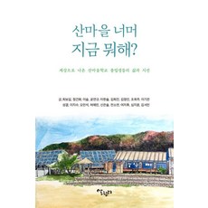 산마을 너머 지금 뭐해? : 세상으로 나온 산마을학교 졸업생들의 삶과 시선, 최보길 외, 살림터