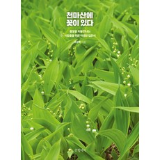 천마산에 꽃이 있다, 글항아리, 조영학