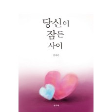 BaengkeuBook 當你沉睡時, 金娜恩