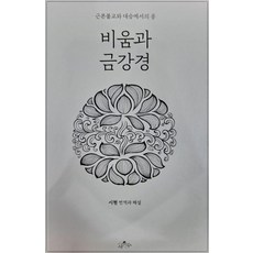 비움과 금강경 : 근본불교와 대승에서의 공 (양장), 사유수, 시현