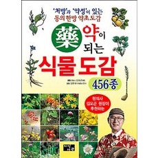 Jisikseogwan 藥用植物圖鑑456種： 附處方與藥性的東醫韓方藥草圖鑑, 金五坤