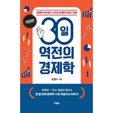 30일 역전의 경제학(큰글자도서):경제학 하수에서 고수로 유쾌한 뒤집기 한판, 오영수, 이담북스