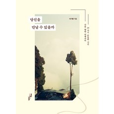 我能遇見祢嗎(大字版)：旅人望向神的29種隱密視線, 이담북스, 李基行