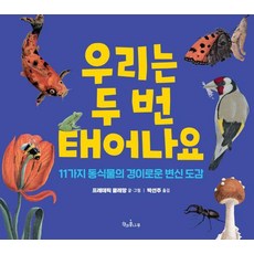 Chaekgwakongnamu 我們有兩次生命： 11種動植物的驚奇變身圖鑑 (精裝)