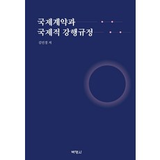 국제계약과 국제적 강행규정, 김민경, 박영사