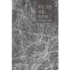 모든 것은 선을 만든다, 팀 잉골드, 이비