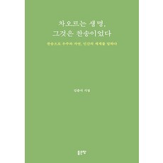 [좋은땅]차오르는 생명 그것은 찬송이었다, 좋은땅, 김준식
