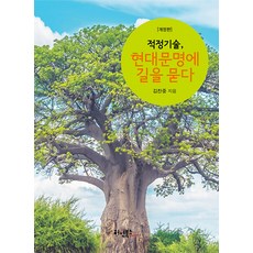 Heowonmidieo 適當技術 向現代文明問路 (修訂版), 金燦中