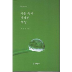 이슬 속에 바라본 세상 - 시인선 17, 성연, 배성근
