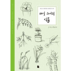 매일 스케치 식물, 더디퍼런스, 연필이야기