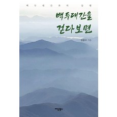 백두대간을 걷다 보면 : 백두대간과의 동행, 이담북스, 김종수