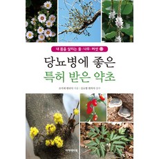 당뇨병에 좋은 특허 받은 우리 약초, 아카데미북, 조식제