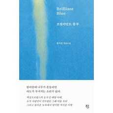 Zhan Brilliant Blue：鹹智成長篇小說, 咸智成