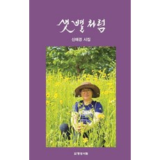 像晨星一樣：申愛景詩集, 申愛景, 名聲書林