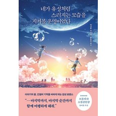 Feelm 註定要看著你像流星一樣殞落, 湊翔
