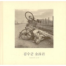100년의 소사 (양장), 하얀나무, 김수군