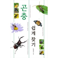 곤충 쉽게 찾기: 곤충을 쉽게 찾고 공부하는 도감 (양장), 진선북스, 한영식