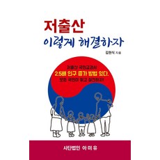저출산 이렇게 해결하자:저출산 국민교과서 2.5배 인구 증가 방법 있다. 모든 국민이 읽고 실천하자, 아미유, 김현식