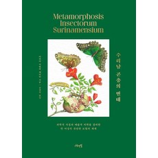 Namuyeonpil 蘇利南昆蟲變態： 一位兼具科學智慧與藝術美學的女性所展開的燦爛冒險世界, 瑪麗亞 西比拉 梅里安