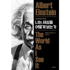 Homeroseu 我如何看待世界：愛因斯坦的世界觀, 阿爾伯特 愛因斯坦