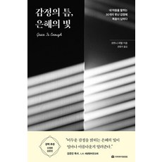 DMI 情感的裂縫 恩典的光芒： 福音回應刮傷我心的30種醜陋情感, 寇特尼.菲德爾