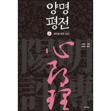 Yukbi 王陽明評傳 (上) ： 夢想成為聖人的少年 (精裝), 宿景南