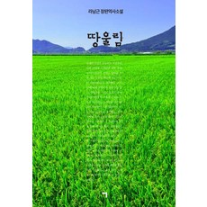 地鳴：羅南根長篇歷史小說, 記憶, 羅南根