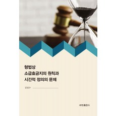 형법상 소급효금지의 원칙과 시간적 정의의 문제, 세창출판사, 김일수