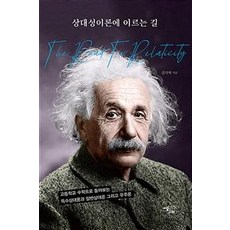상대성이론에 이르는 길, 이담북스, 김기혁