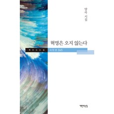 혁명은 오지 않는다:양곡 시집, 책만드는집, 양곡 저