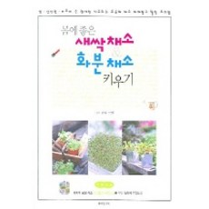 몸에 좋은 새싹채소 & 화분채소 키우기, 동아일보사