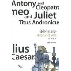IdamBooks 透過名劇解讀莎士比亞悲劇：四大悲劇及其他, 金鍾煥 著