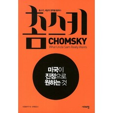 촘스키: 미국이 진정으로 원하는 것:촘스키 세상의 권력을 말하다, 시대의창, 노엄 촘스키 저/문이얼 역/설인호 그림