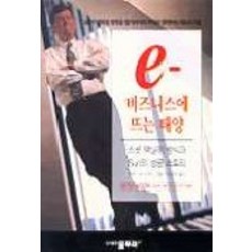 電子商務崛起的太陽, 水曲柳, 凱倫·索斯威克 著/李相憲 譯