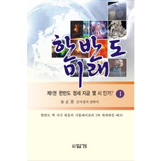 한반도 미래 1: 한반도 정세 지금 몇 시 인가:군사정치 전략서, 답게, 김정선 저