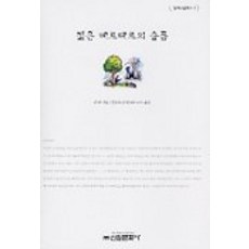 젊은 베르테르의 슬픔, 신원문화사, 괴테 저/권응호 역