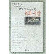 사랑과 열정으로 쓴 목회 서신, 두란노서원