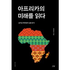 Nanam 閱讀非洲的未來：南非特派員的深度分析, 金成振
