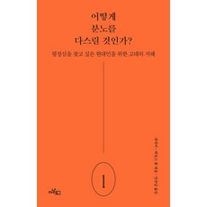 어떻게 분노를 다스릴 것인가? : 평정심을 찾고 싶은 현대인을 위한 고대의 지혜 - 아르고스 1, 아날로그, 루키우스 안나이우스 세네카