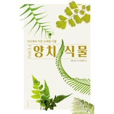 蕨類植物：地球上最古老的植物, 思想之家, 安東·桑丁