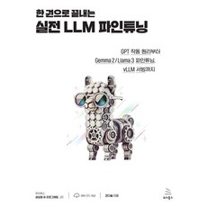 한 권으로 끝내는 실전 LLM 파인튜닝 : GPT 작동 원리부터 Gemma 2 / Llama 3 파인튜닝 vLLM 서빙까지, 위키북스, 강다솔