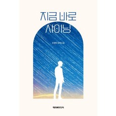 지금 바로 샤이닝:조영미 장편소설, 해피북미디어, 조영미