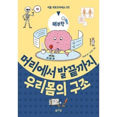 머리에서 발끝까지 우리 몸의 구조 : 해부학 - 리틀 히포크라테스 5, 봄마중, 박승준, 상세내용 참조