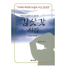 김삿갓 시집:현대시의 감각으로 풀이한, 명문당, 정민호 역
