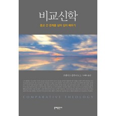 비교신학:종교 간 경계를 넘어 깊이 배우기, 문예출판사